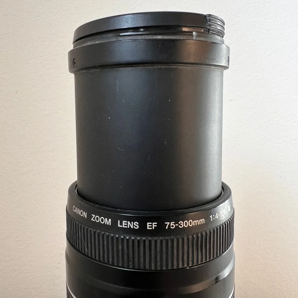 Canon eos rebel